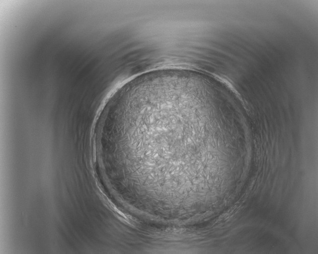 X0000057561371200509302034