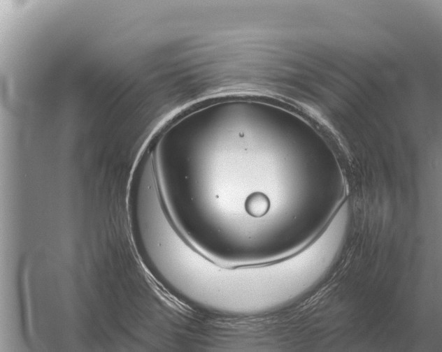 X0000057561372200509302034