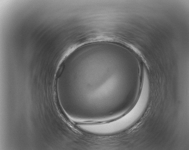 X0000057561373200509302034