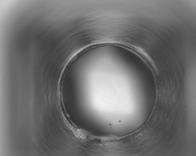 X0000057561380200509302034