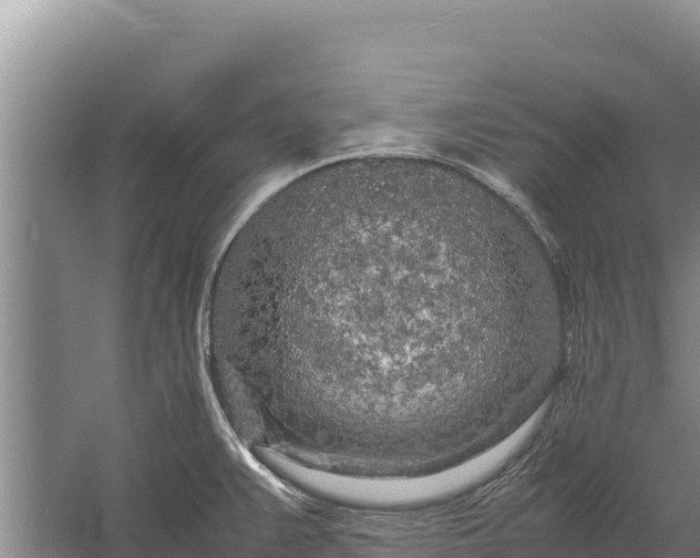 X0000057561383200509302034