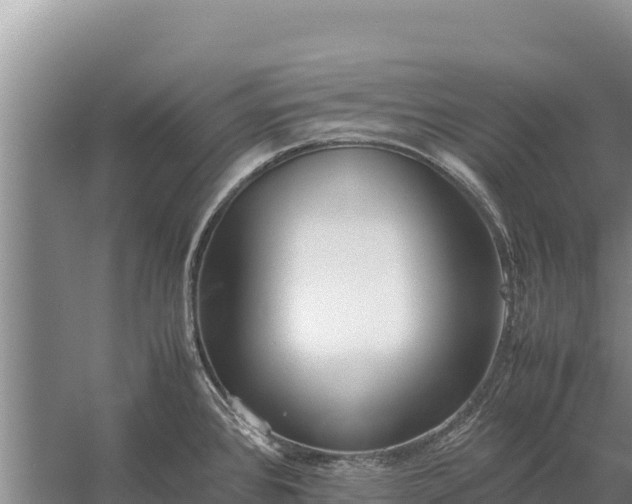 X0000057561384200509302033