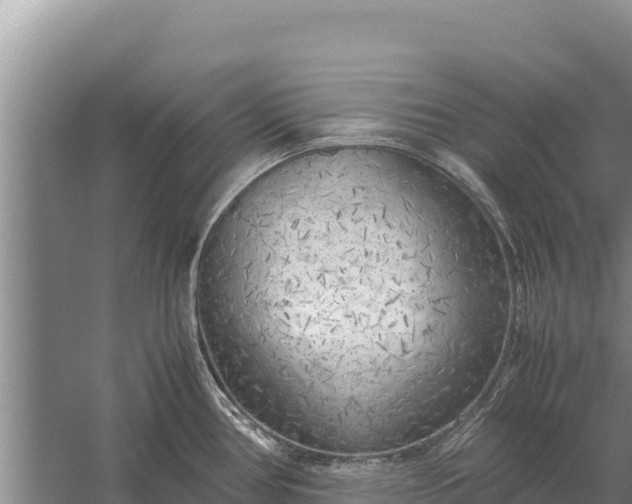 X0000057561386200509302033