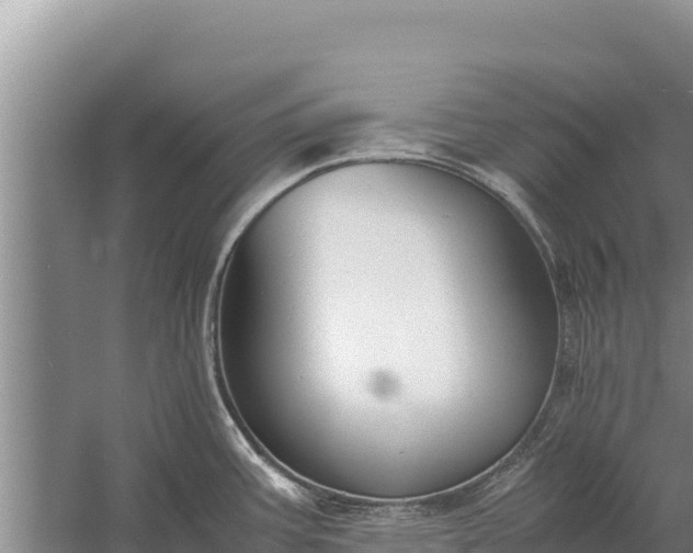 X0000057561387200509302033