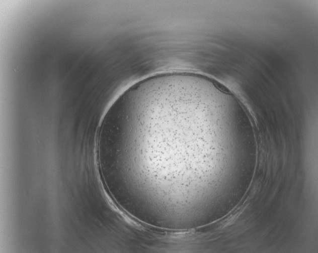 X0000057561390200509302033