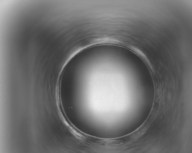 X0000057561391200509302033