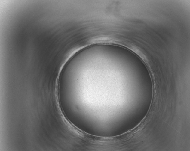 X0000057561392200509302033