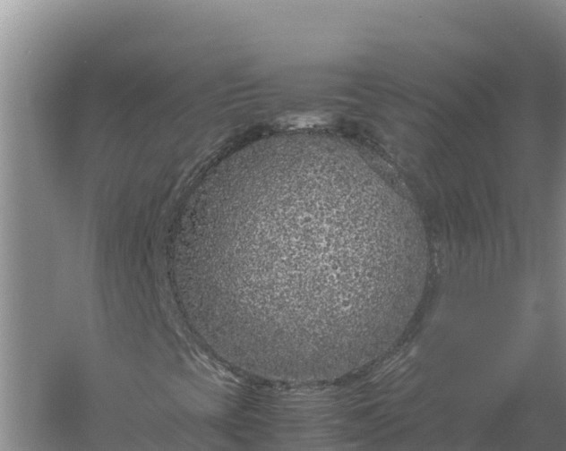 X0000057561393200509302033