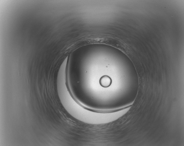 X0000057561394200509302033