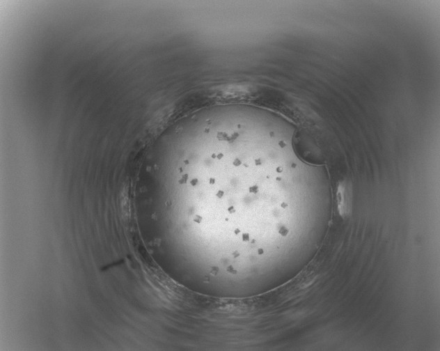 X0000057561395200509302033