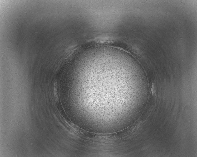 X0000057561396200509302033