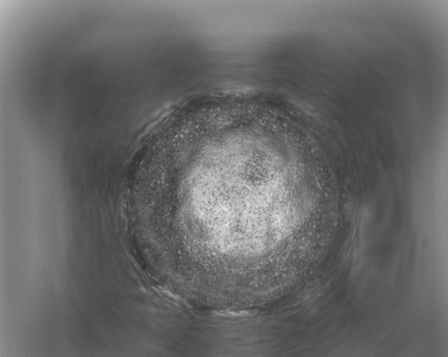 X0000057561397200509302033