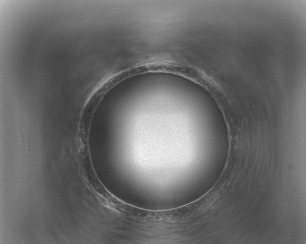 X0000057561400200509302033