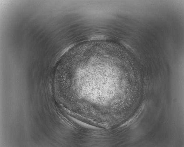 X0000057561401200509302033