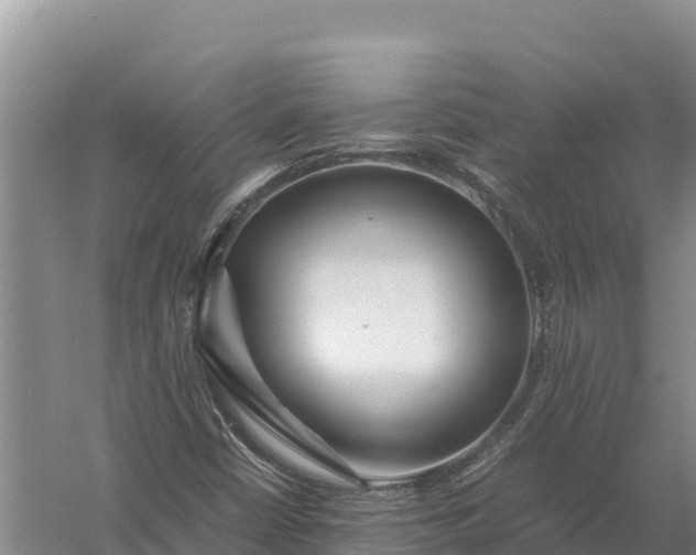 X0000057561402200509302033