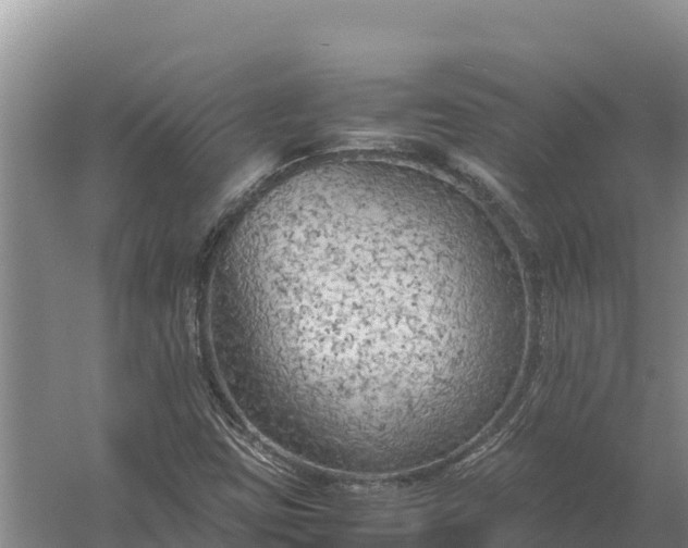 X0000057561403200509302033