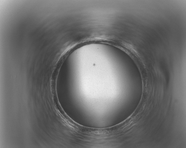 X0000057561404200509302033