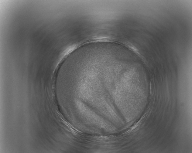 X0000057561405200509302033