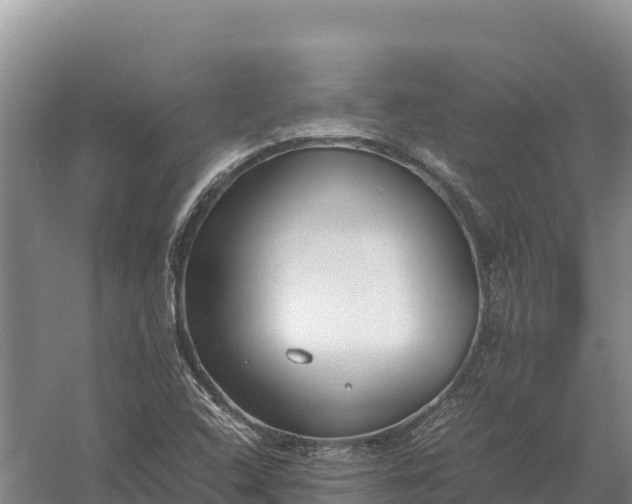 X0000057561408200509302033