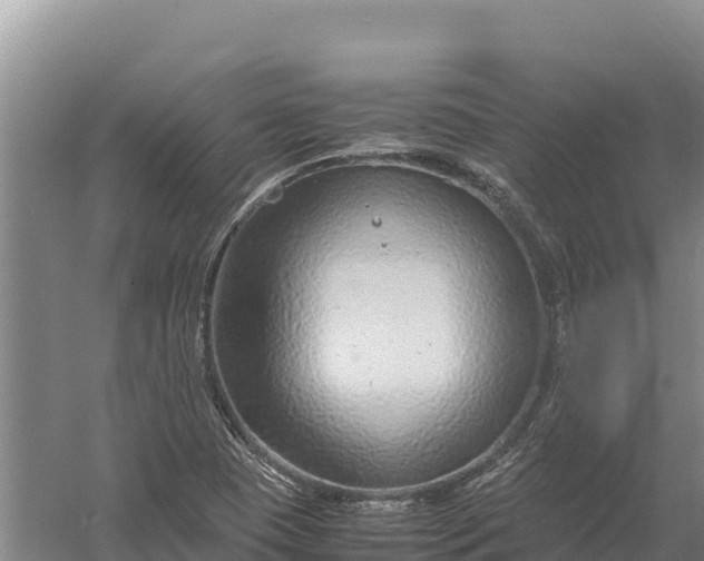 X0000057561409200509302033