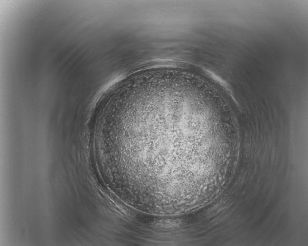 X0000057561411200509302033