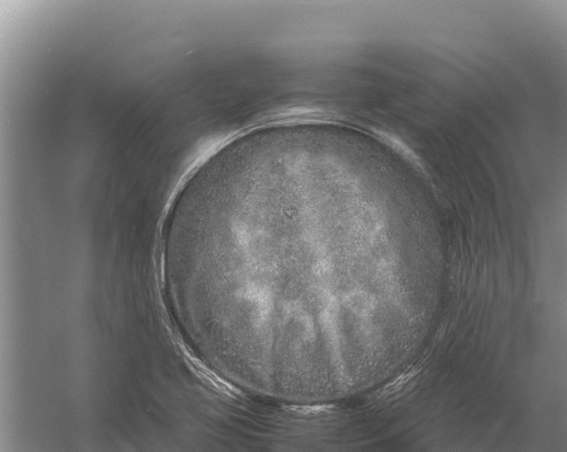 X0000057561413200509302033