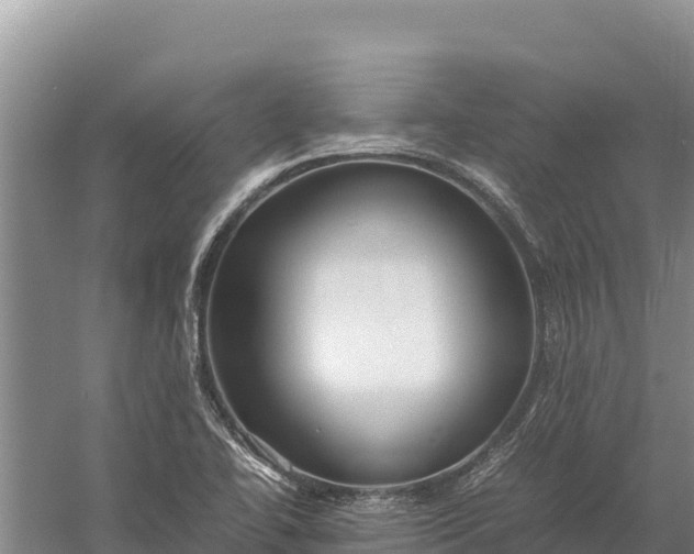 X0000057561414200509302033