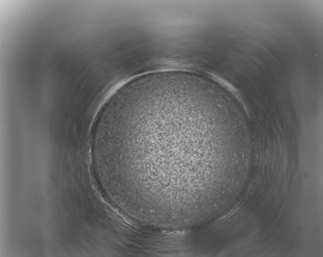 X0000057561415200509302033