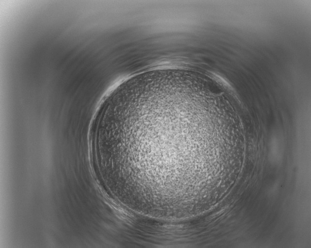 X0000057561419200509302033