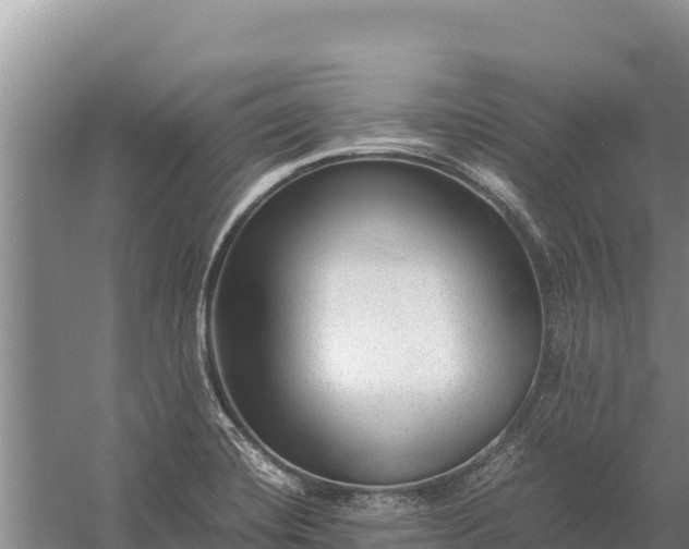 X0000057561420200509302033