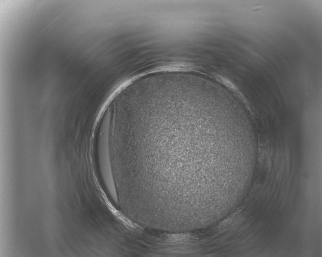 X0000057561421200509302033