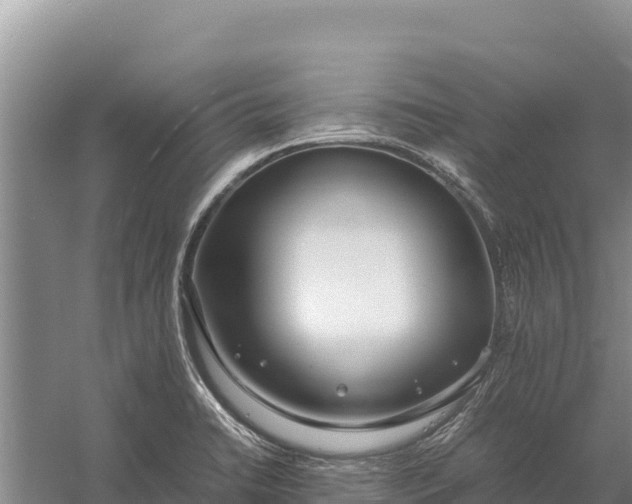 X0000057561422200509302033