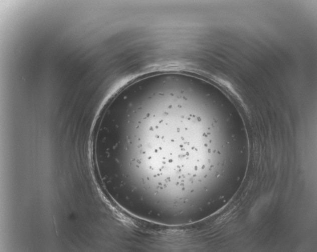 X0000057561424200509302033