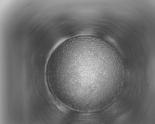 X0000057561427200509302033