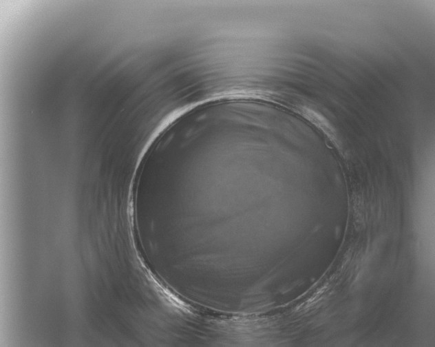 X0000057561428200509302033