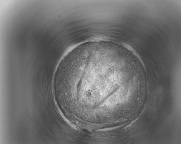 X0000057561429200509302033