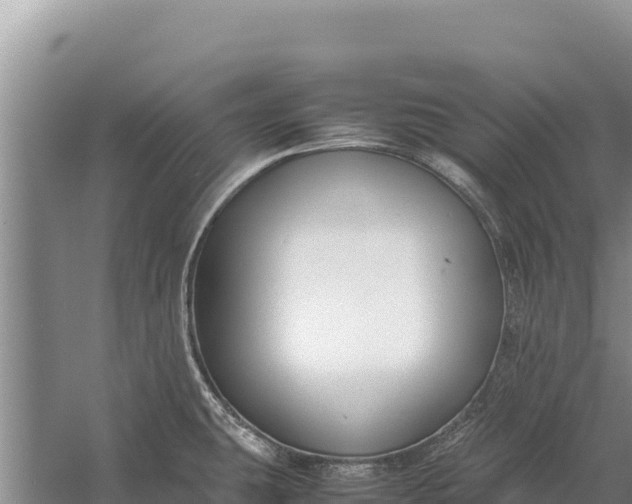 X0000057561431200509302033