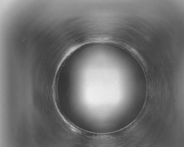 X0000057561432200509302033