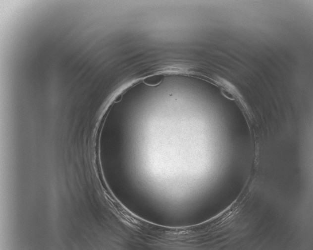 X0000057561435200509302033