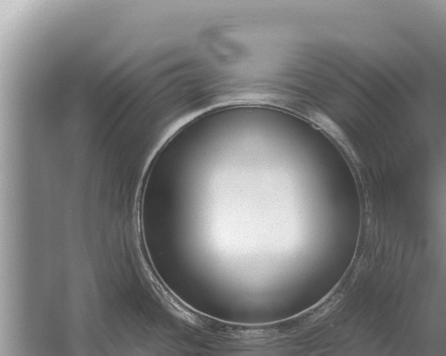 X0000057561436200509302033