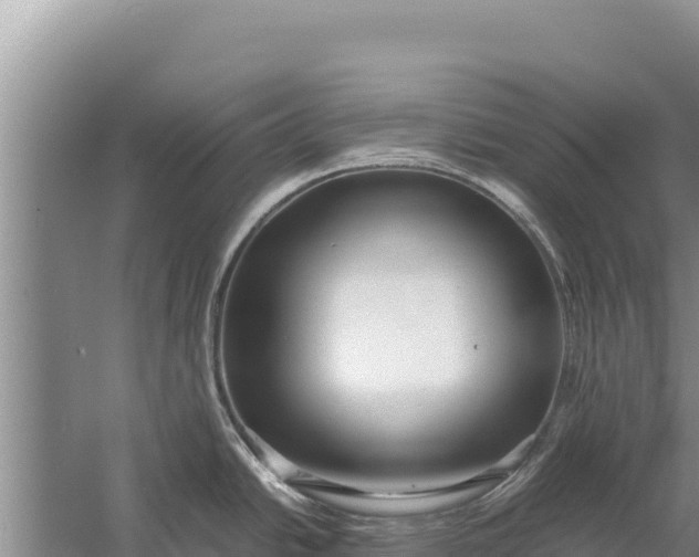 X0000057561438200509302033