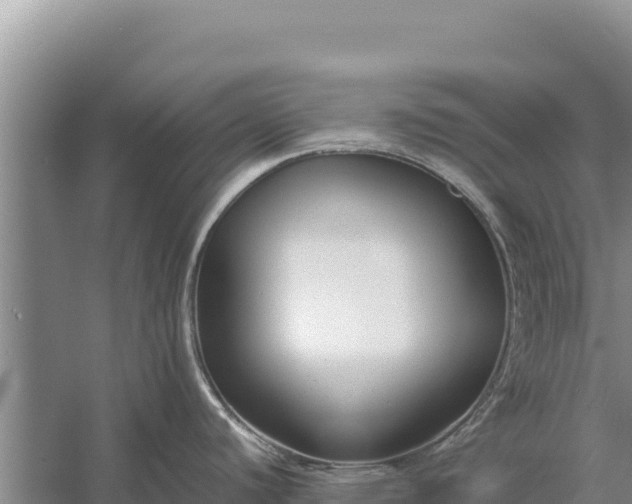 X0000057561440200509302033