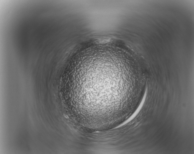 X0000057561441200509302033