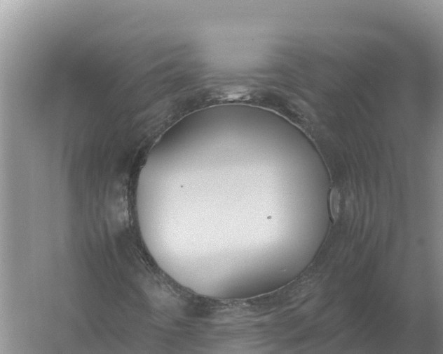 X0000057561442200509302033