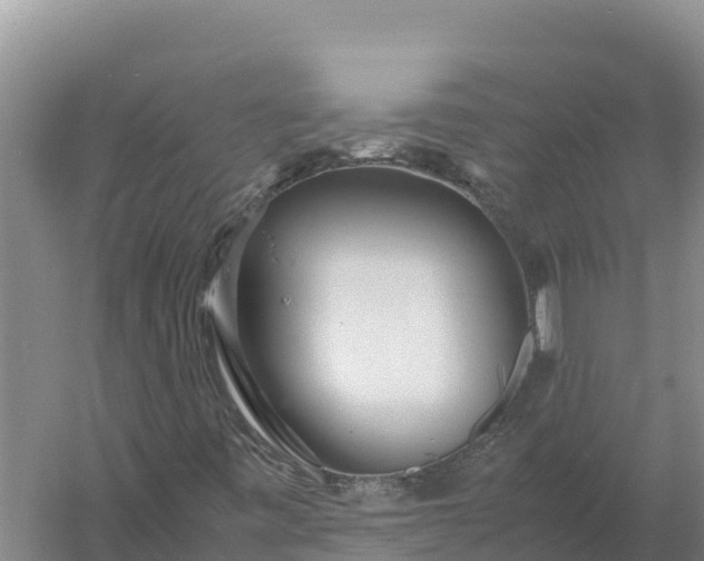 X0000057561443200509302032