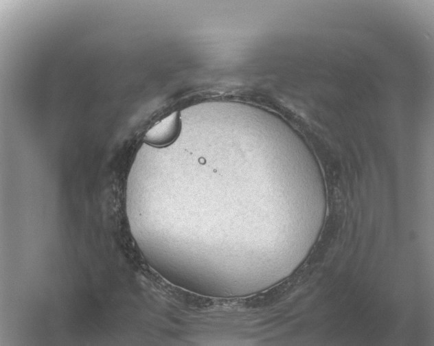 X0000057561447200509302032