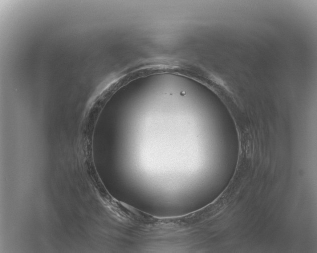 X0000057561448200509302032