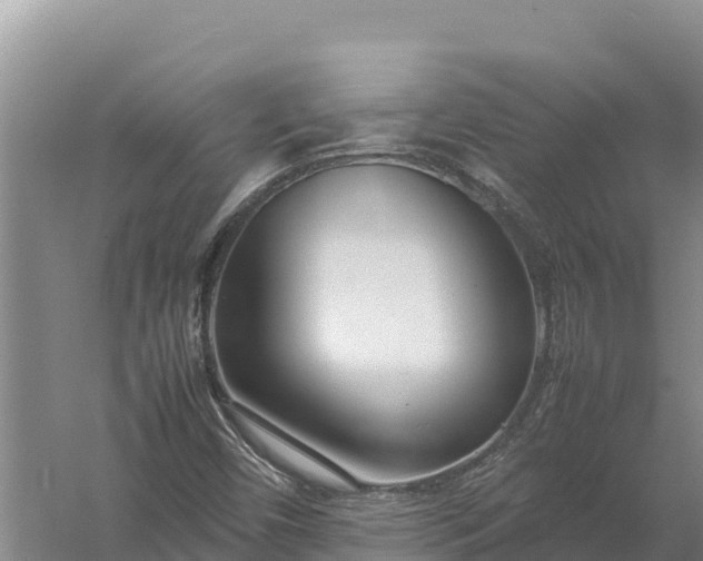 X0000057561450200509302032