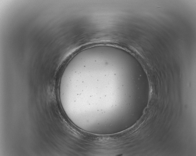 X0000057561452200509302032