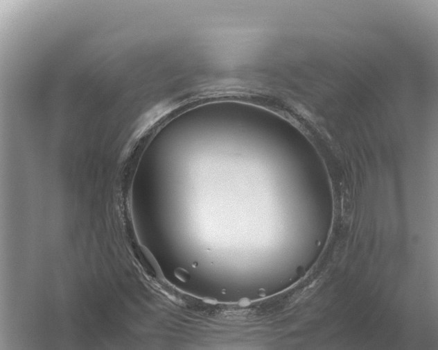 X0000057561453200509302032